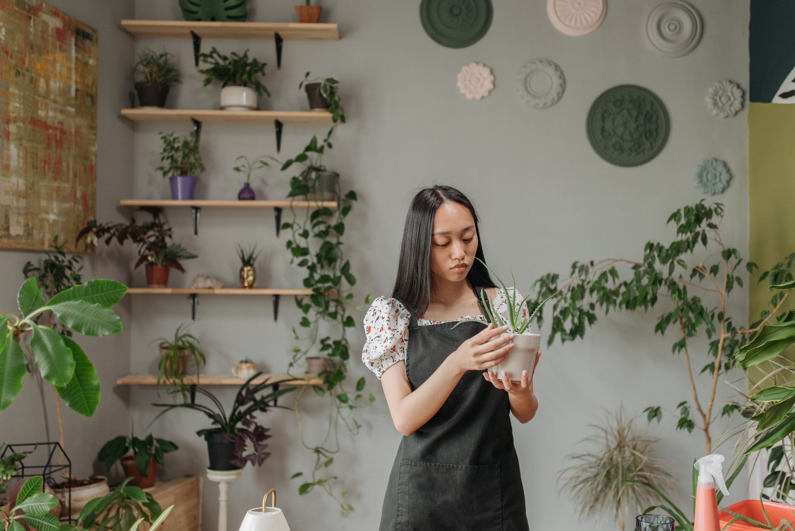 An adult woman in an apron caring for plants indoors, enhancing home aesthetics.